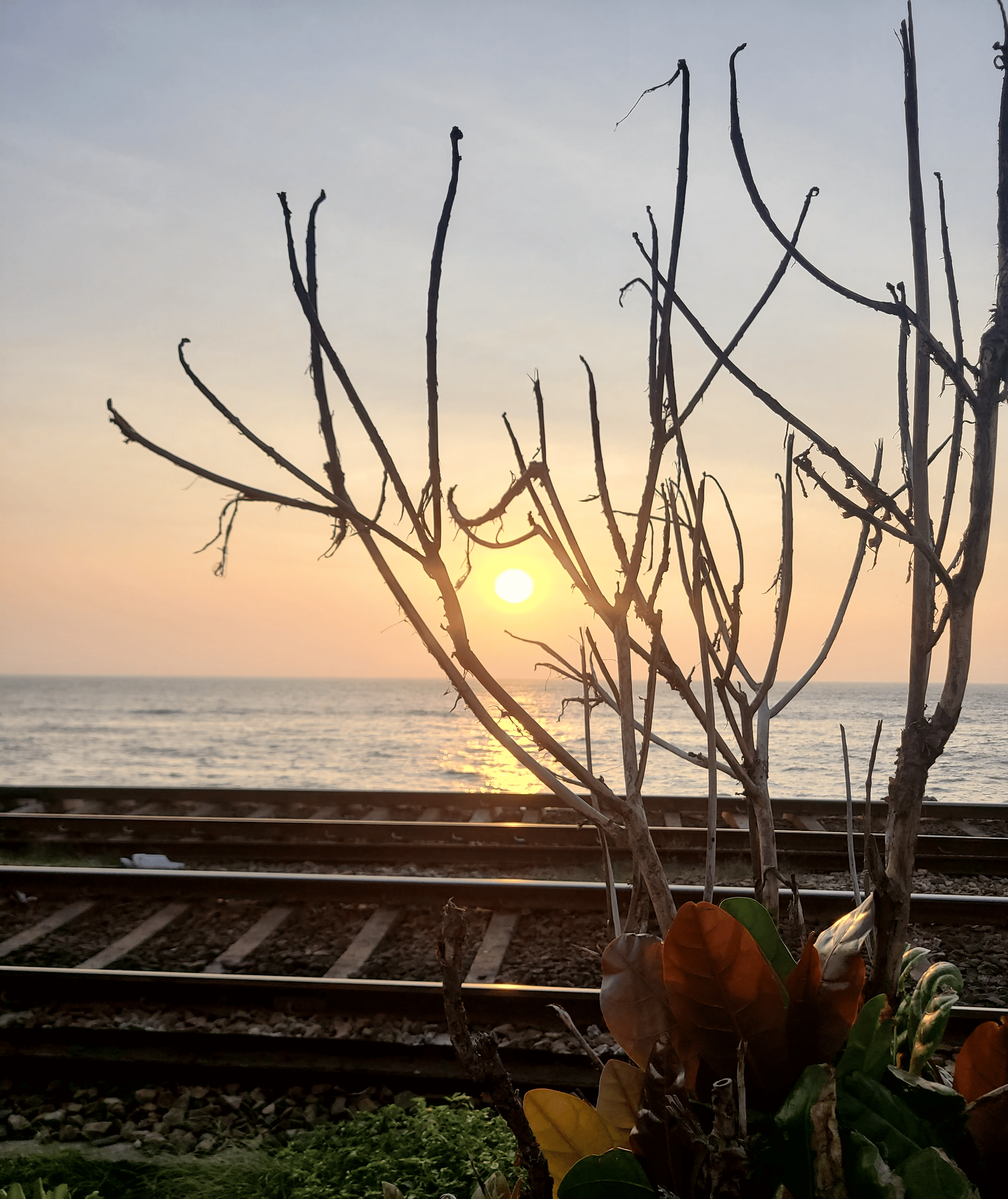 Stilt fishermen at sunset in Sri Lanka