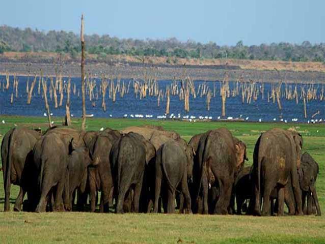 Wildlife & Nature