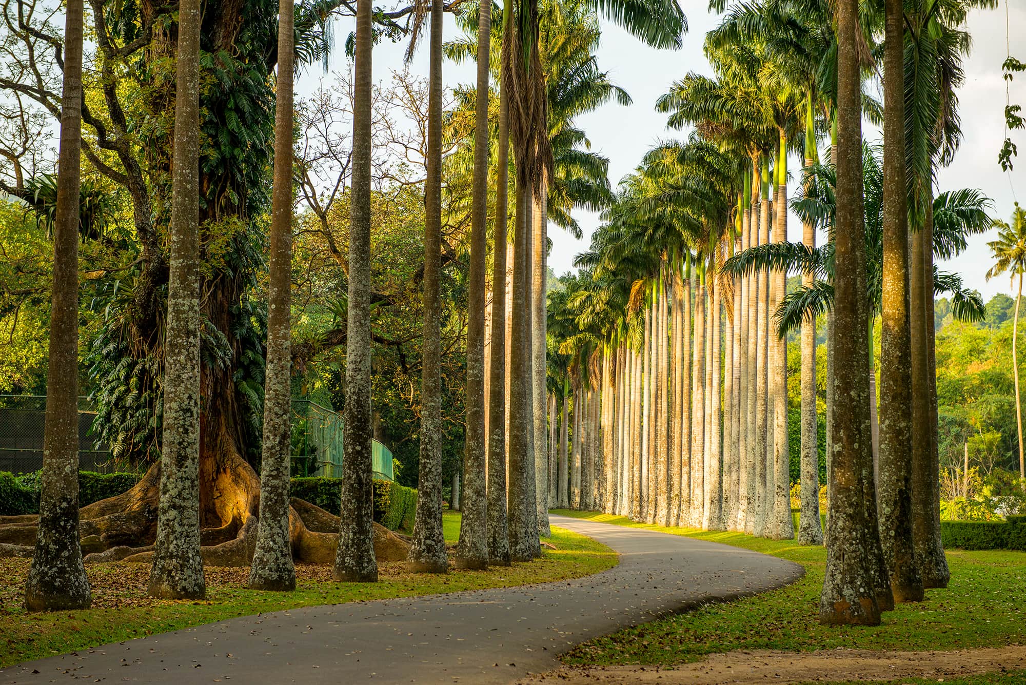 Royal Botanical Gardens