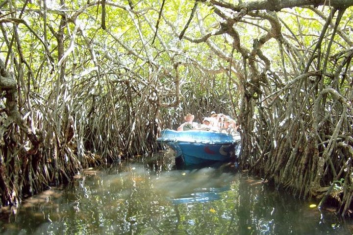 Muthurajawela Marsh