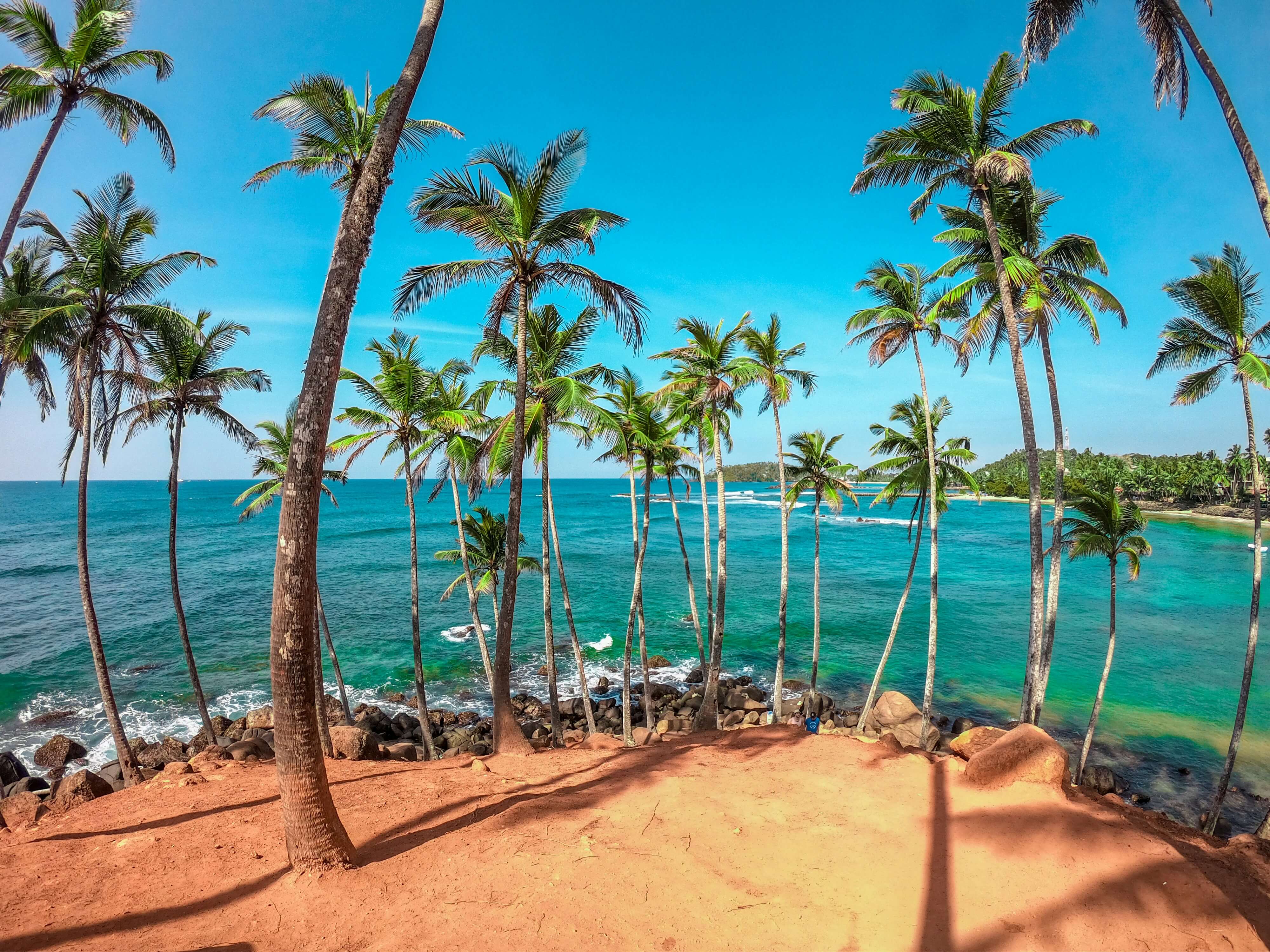 Coconut Tree Hill
