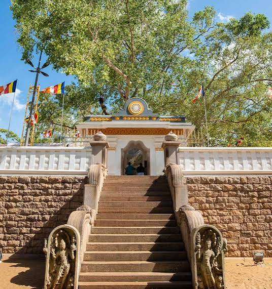 Sri Maha Bodhi