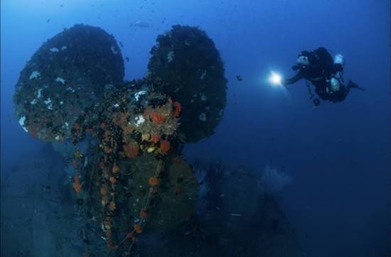 HMS Hermes Wreck