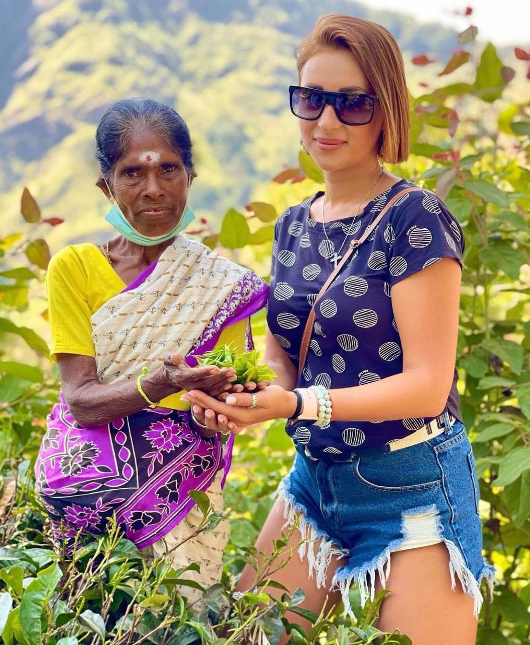 Tea Plantations