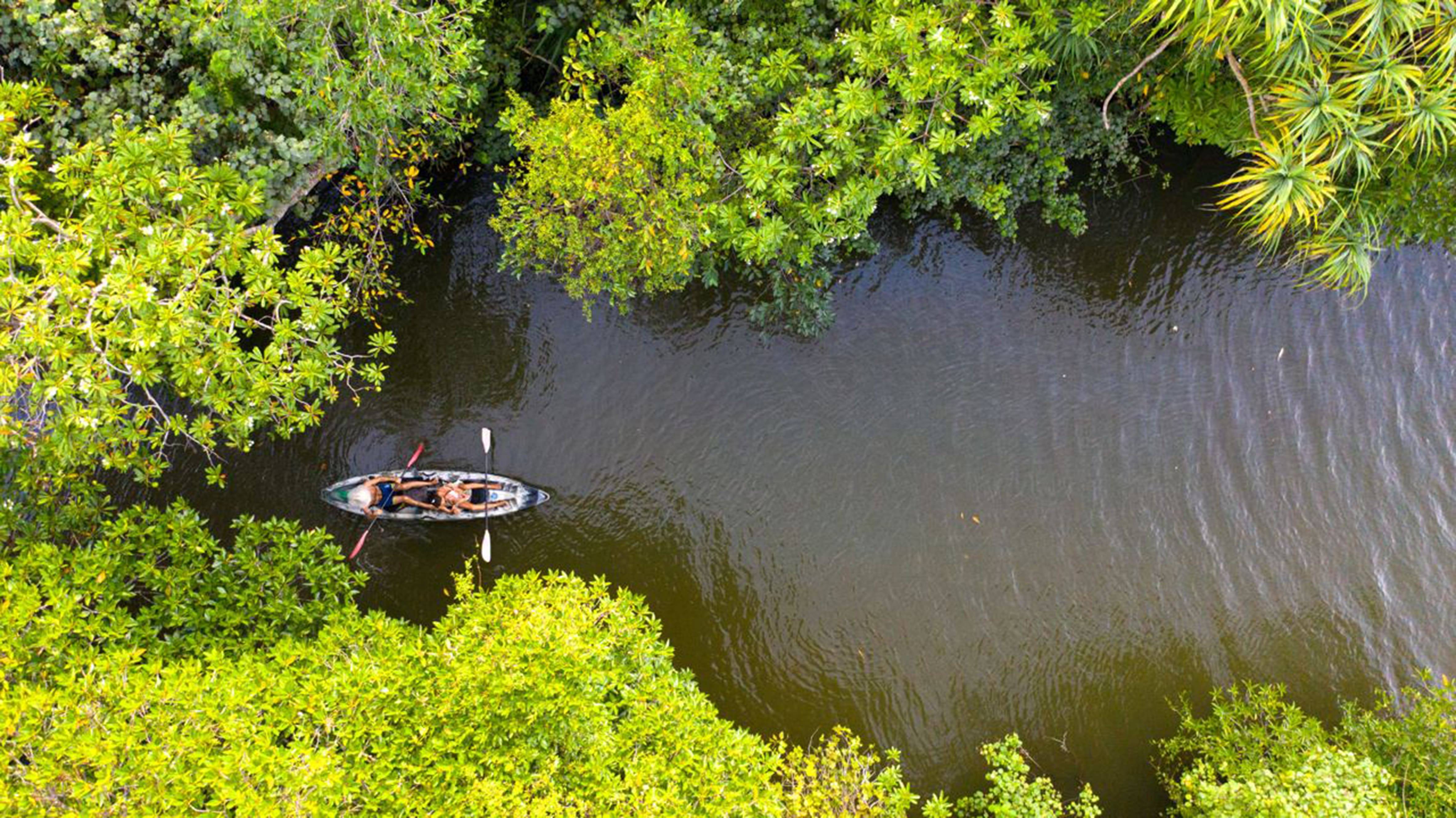 Eco Tourism